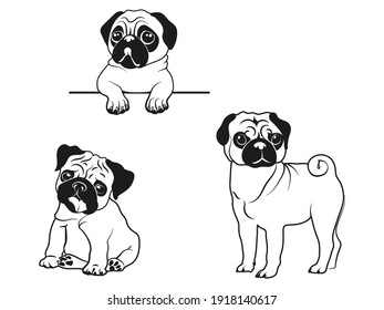Set of sillhoutte pug. Collection of small purebred dogs. Vector drawing of a fur pet. Spying pug. Peeking dog. Service pet. Tattoo.
