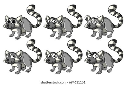 Juego de mapaches tontos