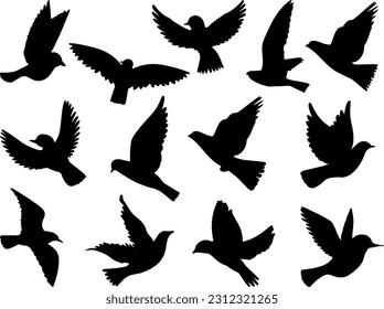 Set of Siluetas Pajaros Silhouette