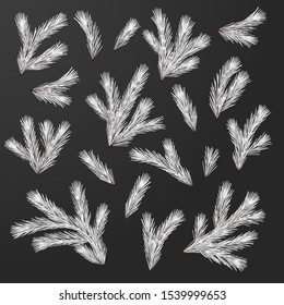 Set of silver Christmas tree branches. Vector fir branches. Decorative design elements