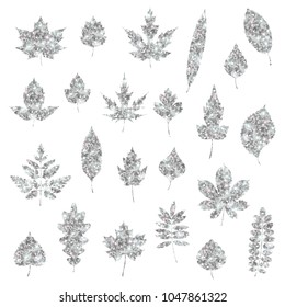 Set of silver various forest leaves isolated on white. Vector Illustration. Gray foil confetti. Natural glitter design decorations