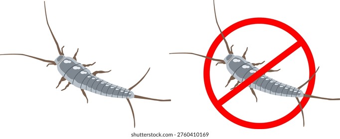 Set of Silverfish Icons Vector Indoor Pest Crawling Insect