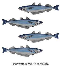 Set Of The Silver-grey Blue Hake Fish An Outline For Colouring With Cartoon Eyes