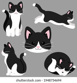 Set of simple and adorable black and white cat illustrations flat colored