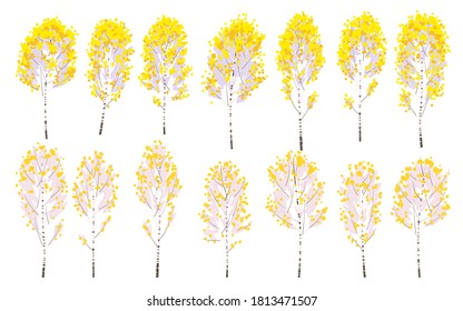 Set of simple autumn birches with yellow leaves isolated on white. Colorful forest trees in fall season vector illustration in flat style.