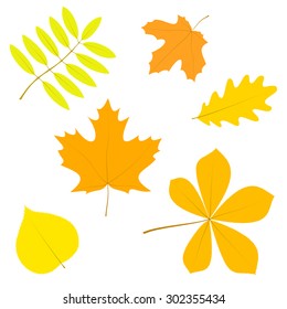 set of simple autumn leaves, isolated on white background, in vector