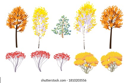 Set of simple autumn trees and bushes with yellow and red leaves isolated on white. Different colorful forest plants in fall season vector illustration in flat style.