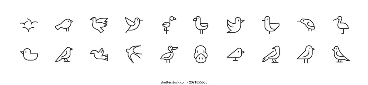 Set of simple bird line icons. Outline stroke object. Linear signs pack. Perfect for web apps and mobile.