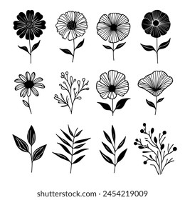 Set Of Simple Black And White Botany And Flowers Illustration