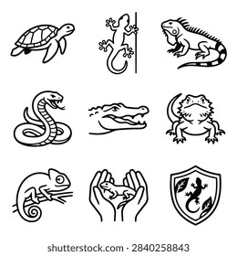 A set of simple black and white line drawings depicting various reptiles including a turtle, lizard, iguana, snake, crocodile, chameleon, and a shield emblem.