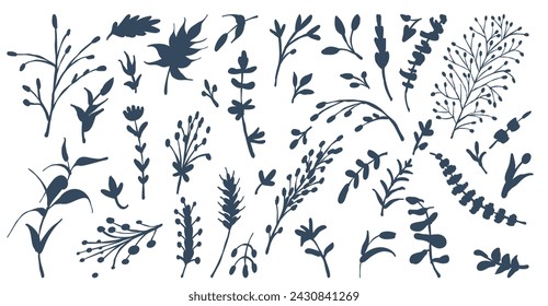 A set of simple branches from different plants. Stencils for cutting silhouettes. Vector