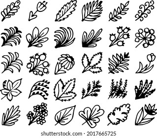 Set von einfachen Gussblumendoodles. abstrakte Blumengrafik. handgezeichnete Vektorgrafiken. Schwarz-Weiß-Illustration