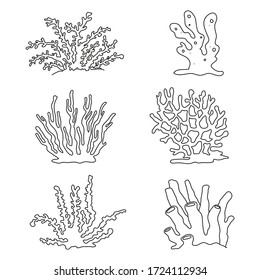 Set of simple coral reef elements isolated on white background. Black  outline vector corals graphic collection.