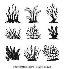 Set of simple coral reef elements isolated on white background. Black vector corals graphic collection.