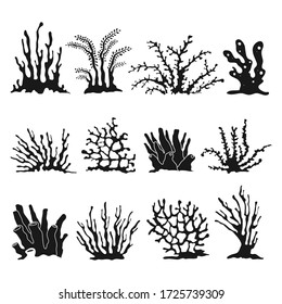 Set of simple coral reef elements isolated on white background. Black vector corals graphic collection.