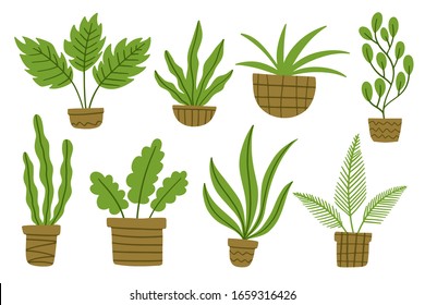 Montaje de simples y lindas plantas botánicas caseras machacadas con flores y hojas de moda. Dibujo de estilo sencillo y plano. Ilustración vectorial aislada.