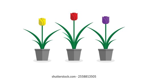 set of simple decorative plants growing in pots. Flat vector illustration isolated on white background. Cartoon colorful houseplants. Collection of natural home decorations.