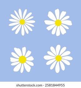 A set of simple, different white Chamomile flowers, hand-drawn, isolated, flat design, vector. Botanical color illustration of beautiful flowering plants. A floral element for decoration, celebration