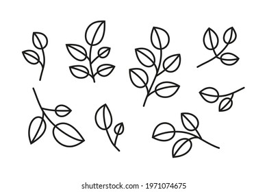 Set of simple doodle outline leafy branches isolated on white background. Botanical floral illustration. Spring garden leaves. Hand drawn autumn foliage.