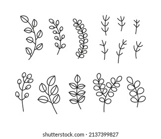 Set of simple doodle outline leafy twigs, wild herbs, plants isolated on white background.