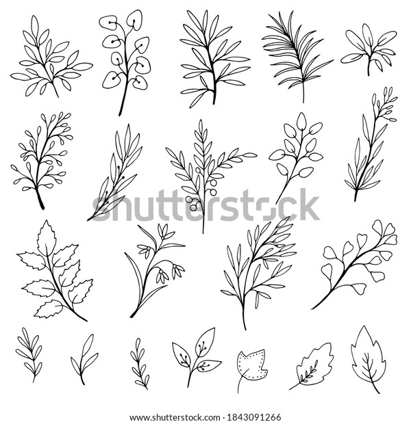 Set of\
simple doodles of flowers and branches. Decor elements for design\
of wedding cards, invitations,\
valentine