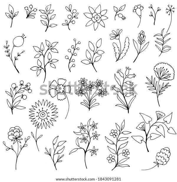 Set of simple doodles of flowers and\
branches. Vector collection of hand drawn\
plants.