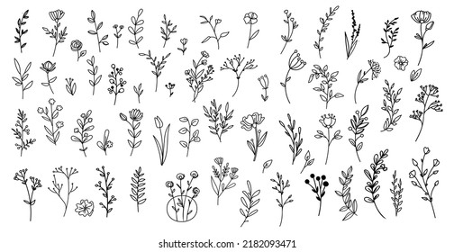 Set of simple doodles of flowers, hand drawn branches, leaves icon