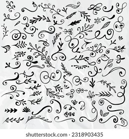 Juego de simples garabatos de flores, ramas dibujadas a mano, hojas