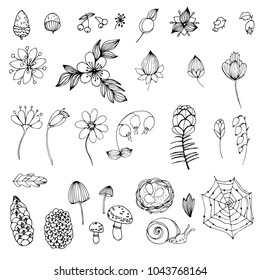 Set of simple doodles of flowers and twigs