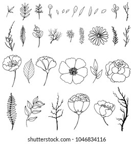 Set of simple doodles of flowers and twigs