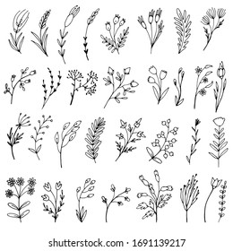 Set of simple doodles of flowers and twigs