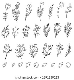 Conjunto de simples garabatos de flores y ramas