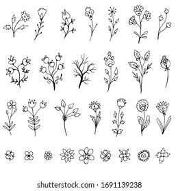 Set of simple doodles of flowers and twigs