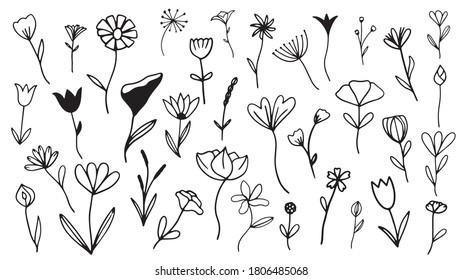 Set of simple doodles of flowers and twigs, Hand sketched vector vintage elements leaves, flowers