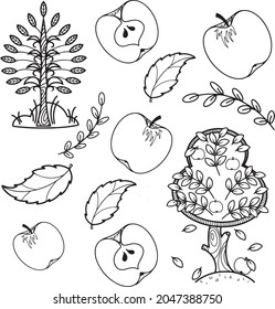 A set of simple drawings on the theme of an apple. Vector illustration. Line on a transparent background