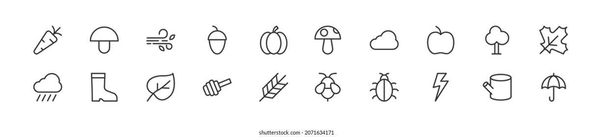 Set of simple fall line icons. Outline stroke object. Linear signs pack. Perfect for web apps and mobile.