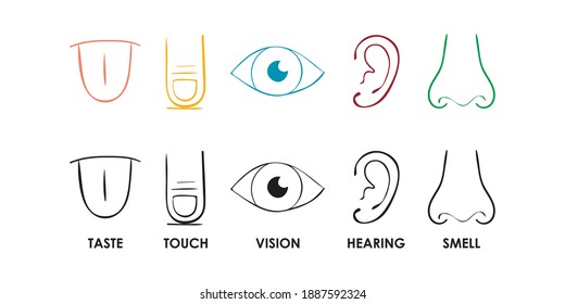 577 Nose, Ear, Tongue, Eye And Skin Images, Stock Photos & Vectors ...