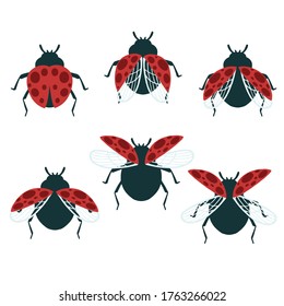 Set of simple flat beetle with different wings collection insects flat vector illustration isolated on white background