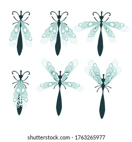 Set of simple flat dragonfly with different wings collection insects flat vector illustration isolated on white background