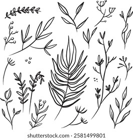 A set simple flora and foliage doodles with leaves, flowers, branches. hand drawn vector illustrations