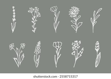 A set of simple floral elements, hand-drawn botanical twigs. Minimalism for logos, postcards, wedding decorations, tattoos