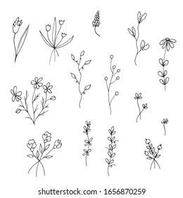 Conjunto de flores, plantas, ramas y hojas simples en estilo doodle sin relleno. Bonitos ramos. Esquema negro. Objetos aislados en un fondo blanco. Ilustración de material vectorial.