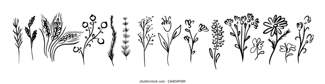 A set of simple flowers. Vector