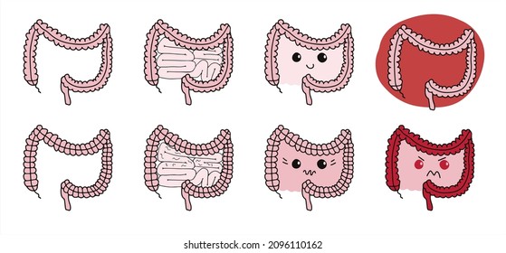 Set of simple gastrointestinal illustrations of bowel internal system. Healthy gut concept. Human body parts in vector