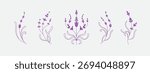 Set of simple geometric lavender branch and flowers. Botanic design elements in wavy and vintage style. Leaves and branches print for logo, social media or packaging