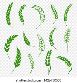 Set of simple green wheats ears icons and wheat design elements for beer, organic or local farm fresh food, bakery themed wheat design, grain, beer elements, rye simple. Vector illustration