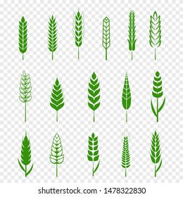 Set of simple green wheats ears icons and wheat design elements for beer, organic or local farm fresh food, bakery themed wheat design, grain, beer elements, rye simple. Vector illustration