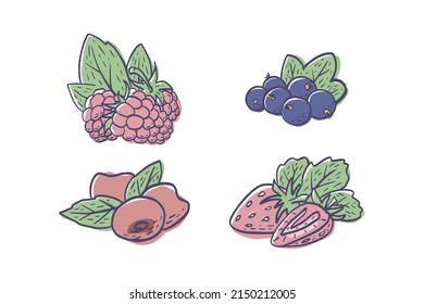 A set of simple hand drawn berries isolated on white background. Vector illustration EPS10