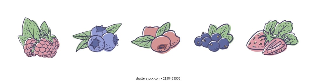 A set of simple hand drawn berries isolated on white background. Vector illustration EPS10