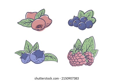 A set of simple hand drawn berries (blueberry, raspberry, black currant, cherry) isolated on white background. Vector illustration EPS10
